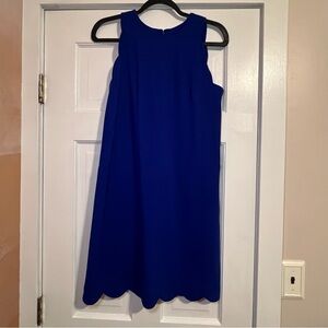 #101 VINCE CAMUTO ROYAL BLUE SCALLOPED SHEATH DRESS SIZE 6